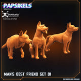 Man's Best Friend Set (3) - STUFFHUNTER