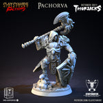 Pachorva - Thorjacks - STUFFHUNTER