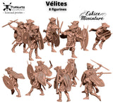 Velites (8) - STUFFHUNTER