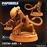 Cheetah Aliens - STUFFHUNTER