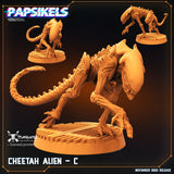 Cheetah Aliens - STUFFHUNTER