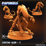 Cheetah Aliens - STUFFHUNTER