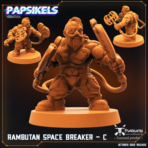 Rambutan Space Breaker C - STUFFHUNTER