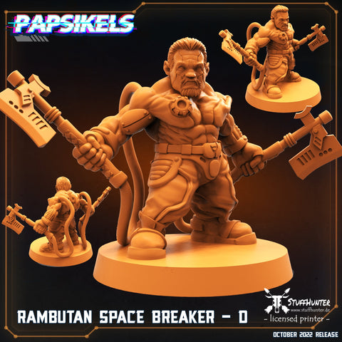 Rambutan Space Breaker D - STUFFHUNTER