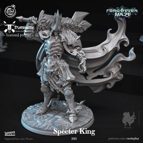 Specter King - Forgotten Maze - STUFFHUNTER