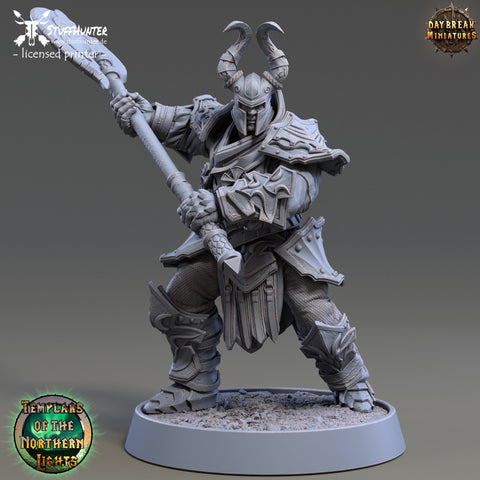 Templars of the Northern Lights - Bertil Draperinn - 32mm - STUFFHUNTER