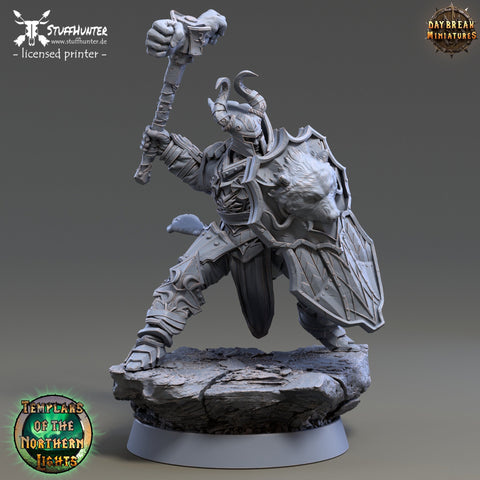 Templars of the Northern Lights - Egil Russo - 32mm - STUFFHUNTER