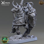 Templars of the Northern Lights - Ritter Gotthold Boarbane - 75mm - STUFFHUNTER