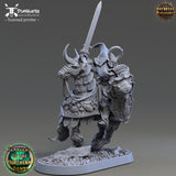 Templars of the Northern Lights - Ritter Gotthold Boarbane - 75mm - STUFFHUNTER