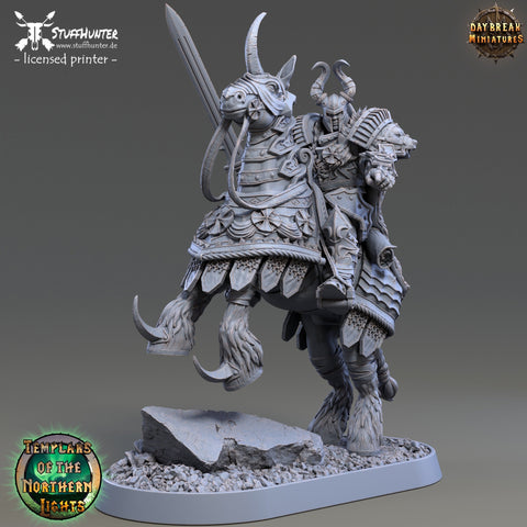 Templars of the Northern Lights - Ritter Victor Kaisermann - 75mm - STUFFHUNTER