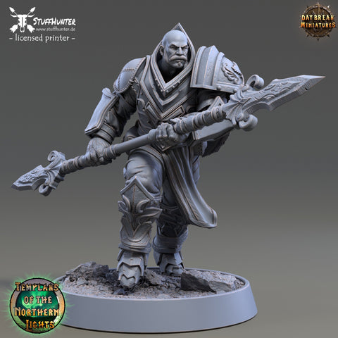 Templars of the Northern Lights - Sverker Icebrand - 32mm - STUFFHUNTER