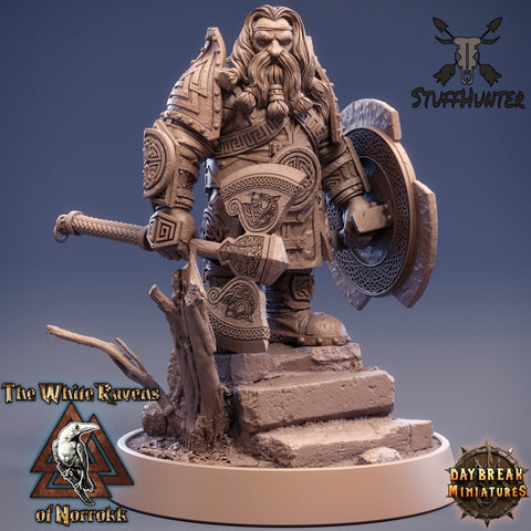 The White Ravens of Norrokk - High Thane Ragnar Stoner - 32mm 75mm - STUFFHUNTER