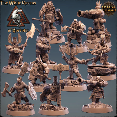 The White Ravens of Norrokk - Zwergen Armee Warband Set - 32mm - STUFFHUNTER