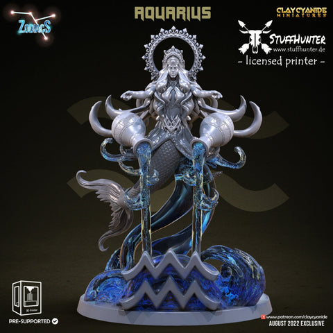 Zodiacs - Aquarius - STUFFHUNTER